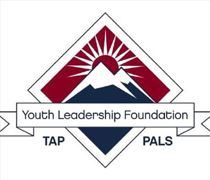 Logo saying "Youth Leadership Foundation" 