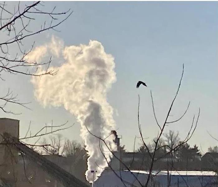 blue sky with smoke and a bird